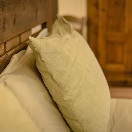 게스트하우스 Domus Antica