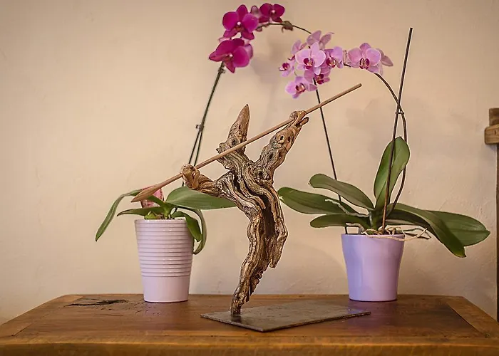 Affittacamere Domus Antica Aosta