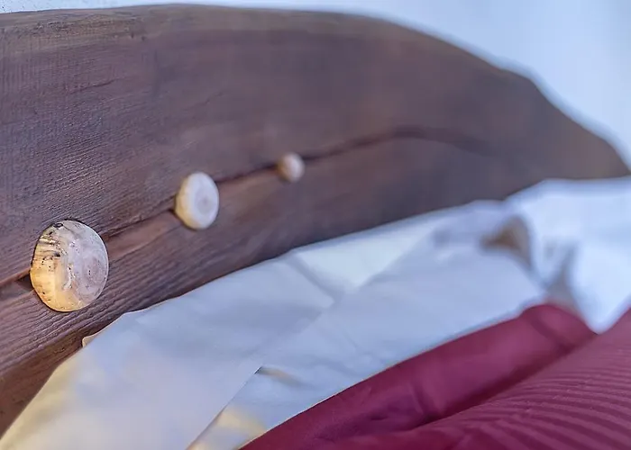 Domus Antica Gasthuis